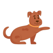 Perro 1